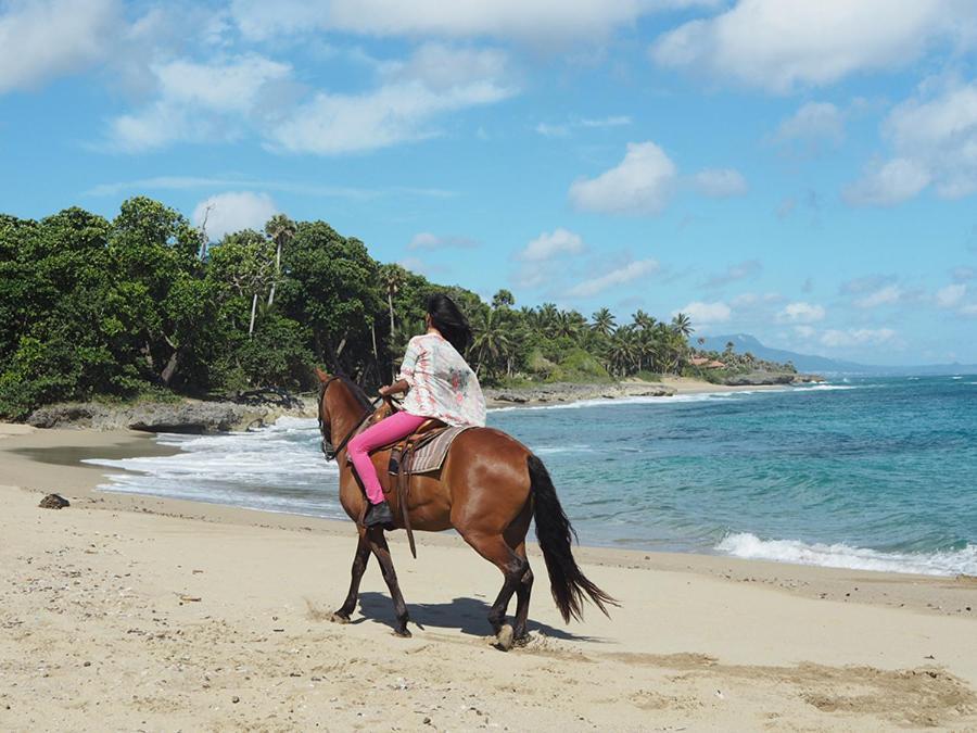 La Mulata Sea Horse Ranchヴィラ エクステリア 写真